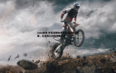 saba体育-罗家双胞胎并肩征战俱乐部联赛，兄弟同心剑指荣耀巅峰