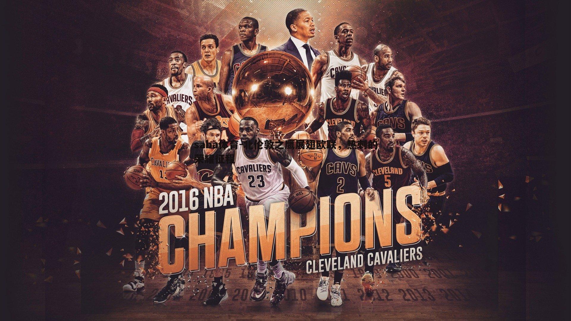 北伦敦之鹰展翅欧联,热刺的荣耀征程